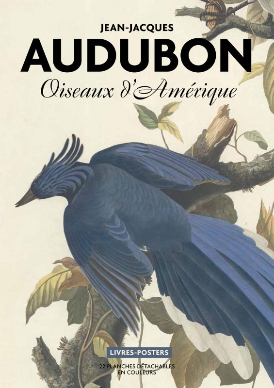 Audubon. Oiseaux d&#039;Amérique